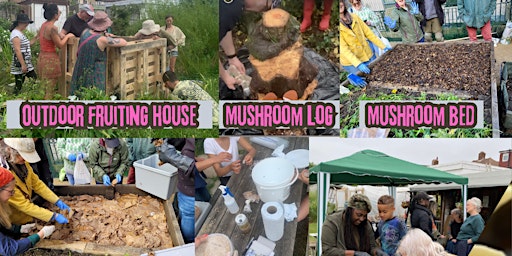 Learn how to cultivate mushrooms on logs in your community garden.  primärbild