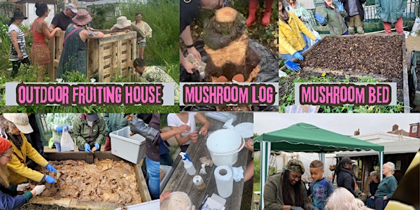 Learn how to cultivate mushrooms on logs in your community garden.