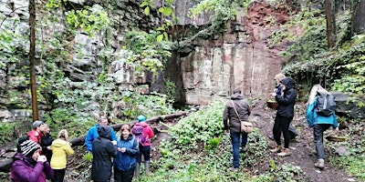 Fossils  and Geology of the Frome primary image