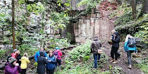 Image principale de Fossils  and Geology of the Frome