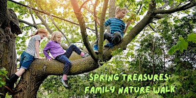 Primaire afbeelding van Spring Treasures: Family Nature Walk & Nest Crafting