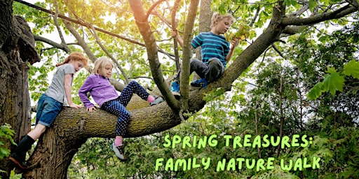 Hauptbild für Spring Treasures: Family Nature Walk & Nest Crafting