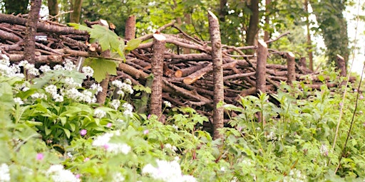 Hauptbild für Dead Hedging at Oystermouth Community Orchard