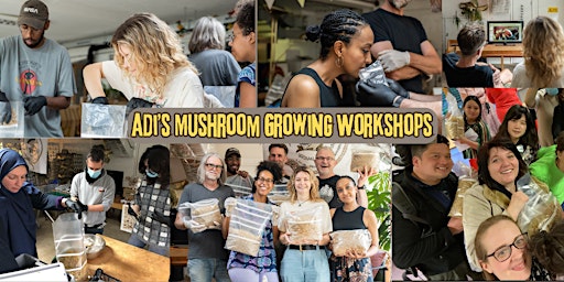 Hauptbild für Learn how to cultivate oyster mushrooms on straw bales in your garden.