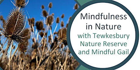 Series of Mindfulness in Nature workshops with Mindful Gail