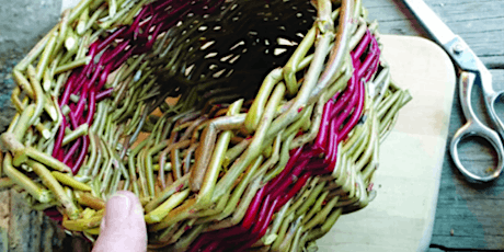 Introduction to Willow Weaving at Ryton Pools Country Park (12+)