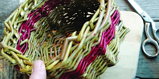 Introduction to Willow Weaving at Ryton Pools Country Park (12+) primary image