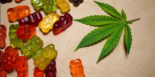 Imagen principal de Superior CBD Gummies Canada