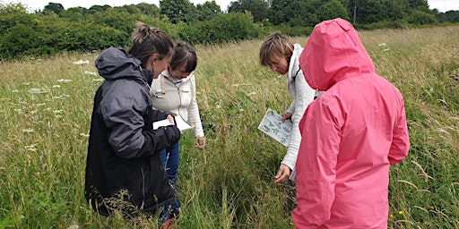 Hauptbild für Launch of Community Town and Parish Guide to Nature Recovery