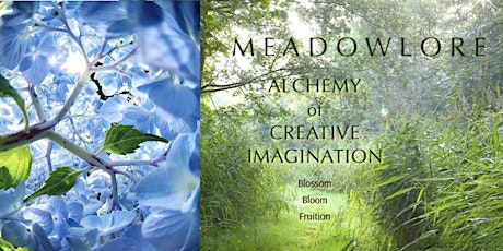 MEADOW - BLOOM