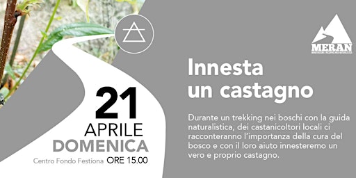 Innesta un castagno primary image