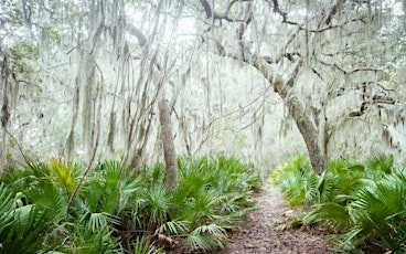 2024 Cumberland Island Service Weekend