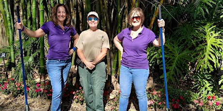 Imagen principal de Arboriculture Academy Advances in Tree Care (FKA) Roots to Shoots
