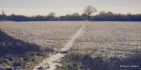 Imagem principal do evento Tolworth Court Farm Fields / Moated Manor Rewilding Day