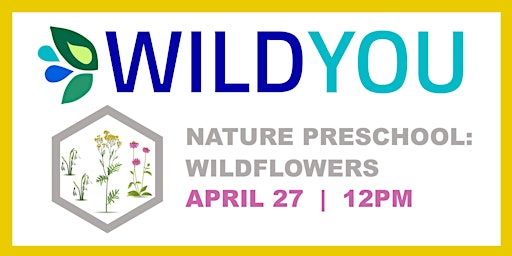Nature Preschool: Wildflowers primary image
