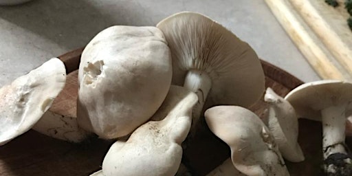 Primaire afbeelding van St George's Mushroom Walk