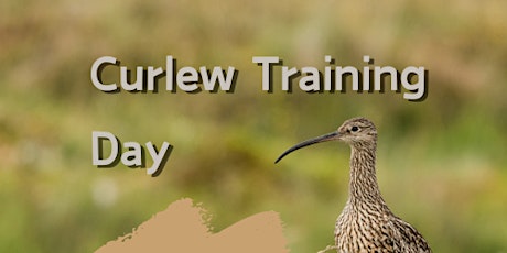 Curlew Monitoring Training Day