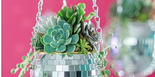 Image principale de Plant Night-Taylor's Version- "I'm still Bejeweled"-Disco Ball Planter