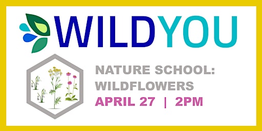 Image principale de Nature School: Wildflowers