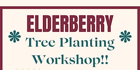 Elderberry Tree Planting Workshop