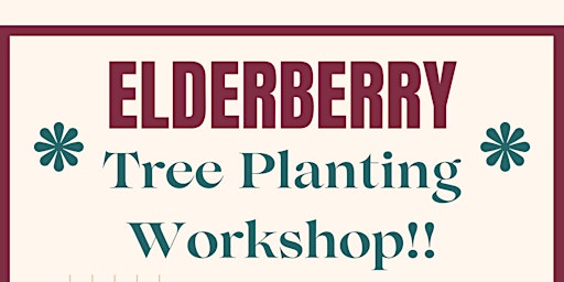 Primaire afbeelding van Elderberry Tree Planting Workshop