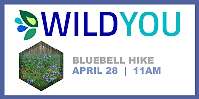 Bluebell Hike primary image