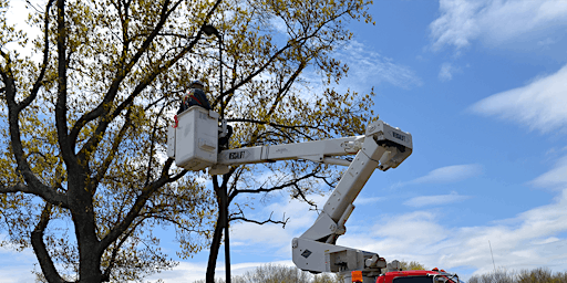 Primaire afbeelding van Fall Protection Training, Tuesday, April 9, 2024