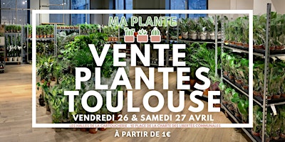 Primaire afbeelding van VENTE PLANTES TOULOUSE