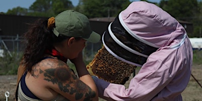 Image principale de Beginner Beekeeping Program by NOD Apiary Products