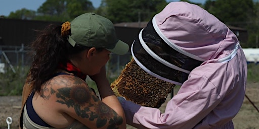 Primaire afbeelding van Beginner Beekeeping Program by NOD Apiary Products
