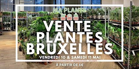 Image principale de VENTE PLANTES BRUXELLES