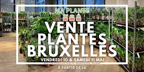 VENTE PLANTES BRUXELLES