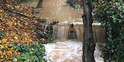 Imagem principal de Illustrated talk on Natural Flood Management