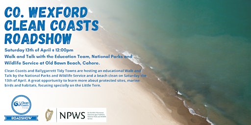 Imagem principal de Clean Coasts Co. Wexford Roadshow - Walk and Talk on Old Bawn Beach