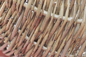 Willow Weaving (for Juniors) primary image