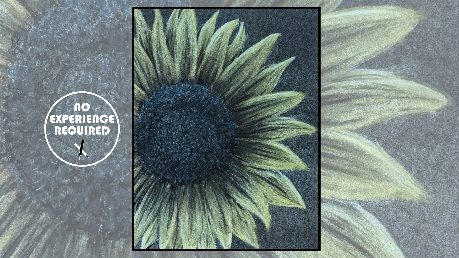 Fundraising Charcoal Drawing Event "Sunflower" in  Richland Center