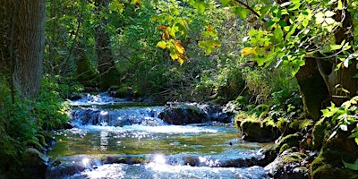 Hauptbild für TRANQUILITY TRAINING