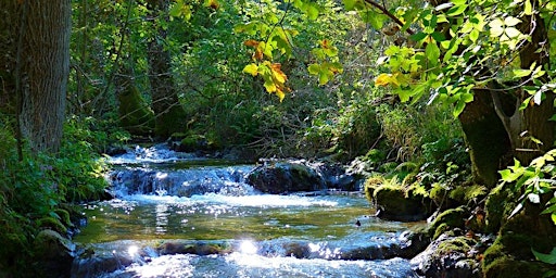 Hauptbild für TRANQUILITY TRAINING