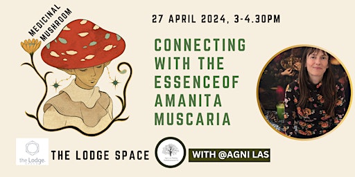 Imagem principal do evento Connecting with the Essence of Amanita Muscaria