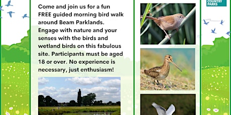 Imagem principal do evento Bird Walk at Beam Parklands Country Park