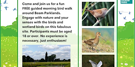 Imagem principal do evento Bird Walk at Beam Parklands Country Park