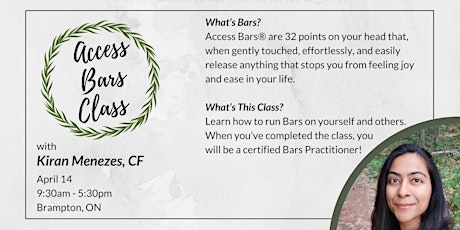 Access Bars Practitioner Course