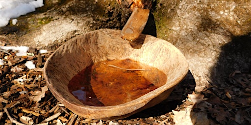 Imagem principal do evento A Sweet Tradition: Maple Sugaring in Native American Communities