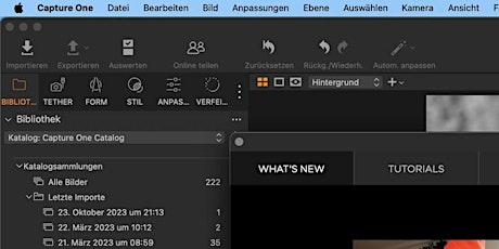 Capture One Pro von Import bis Bildbearbeitung