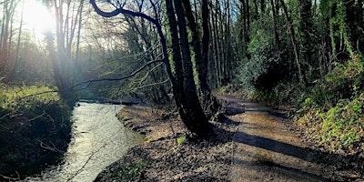 Image principale de Rivacre Valley Country Park Invertebrate Recording Day