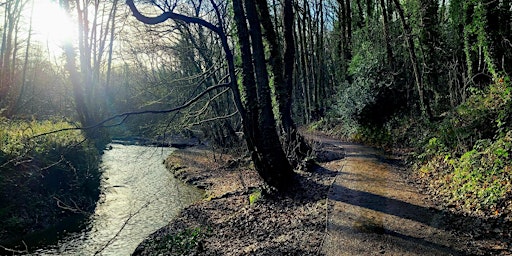 Immagine principale di Rivacre Valley Country Park Invertebrate Recording Day 