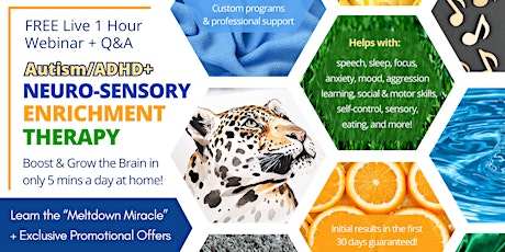 Sensory Enrichment for Autism - A Neuroscience Program for Caregivers