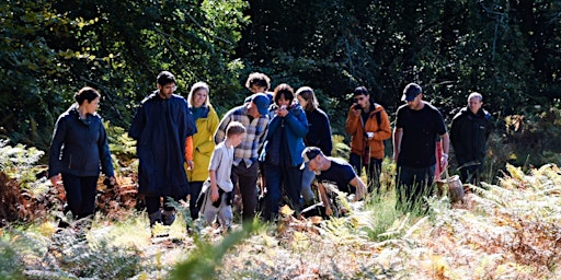 Wild Food Foraging Walk: NW8: May 25th primary image