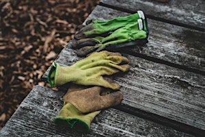 Immagine principale di Gardens That Fight Climate Change 