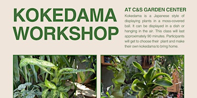 Primaire afbeelding van Kokedama Workshop at C&S Garden Center